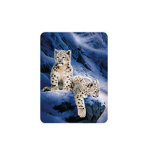 Obrázek z Magnet 3D 7x9cm - sněžní leopardí (25) 